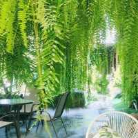 ร้าน Take A Rest Coffee Bar จ.ลำปาง 