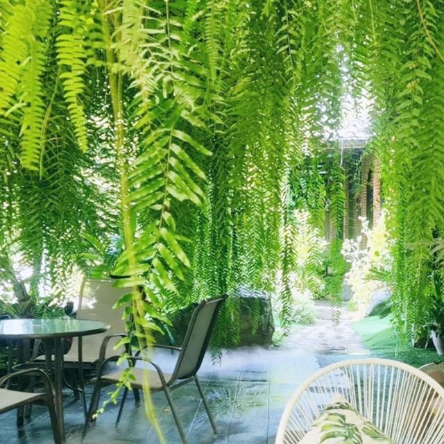 ร้าน Take A Rest Coffee Bar จ.ลำปาง 