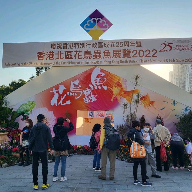好好睇的香港北區花鳥蟲魚展覽