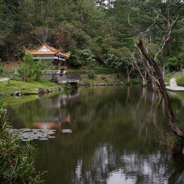 深圳至抵玩植物園