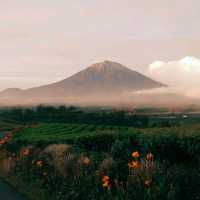 taman nasional kerinci Seblat