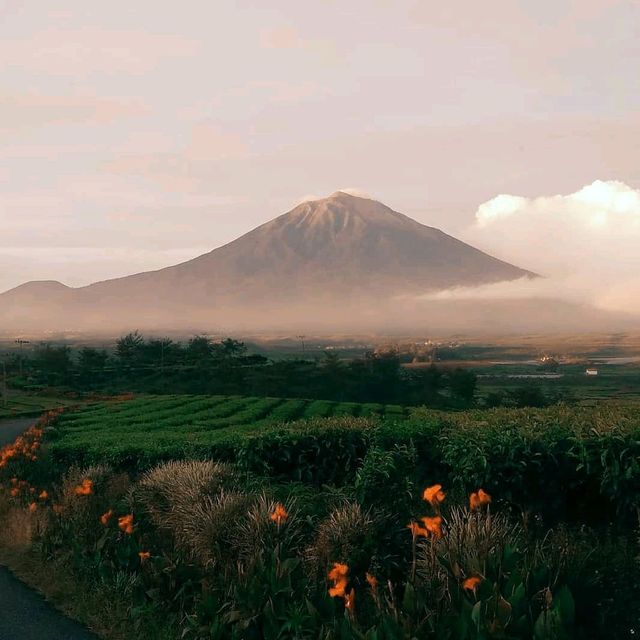 taman nasional kerinci Seblat