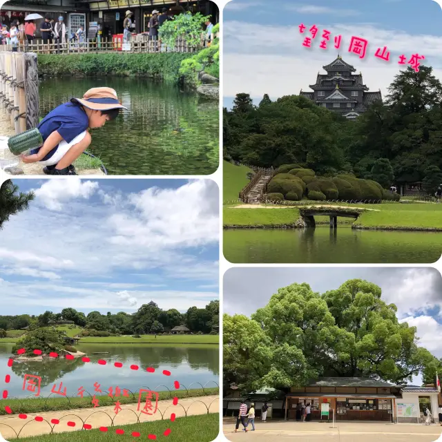 岡山後樂園🏞城巿中既後花園