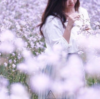 ทุ่งดอกหงอนนาค 💜สีม่วงฟรุ๊งฟริ๊ง สวยหวานใจละลาย