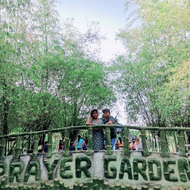 Bamboo Forest