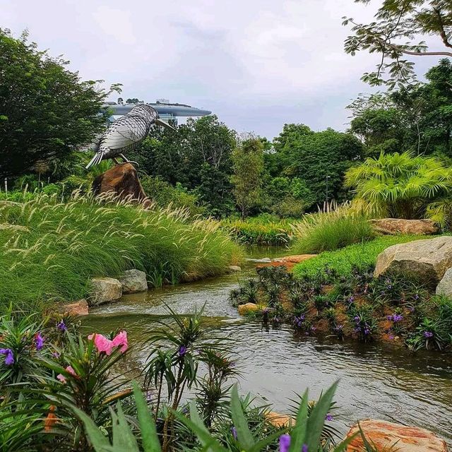 kingfisher Wetlands at Garden By The Bay