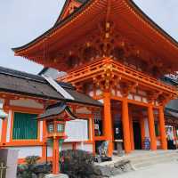 上賀茂神社⁉️