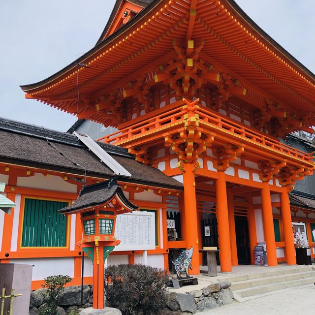 上賀茂神社⁉️