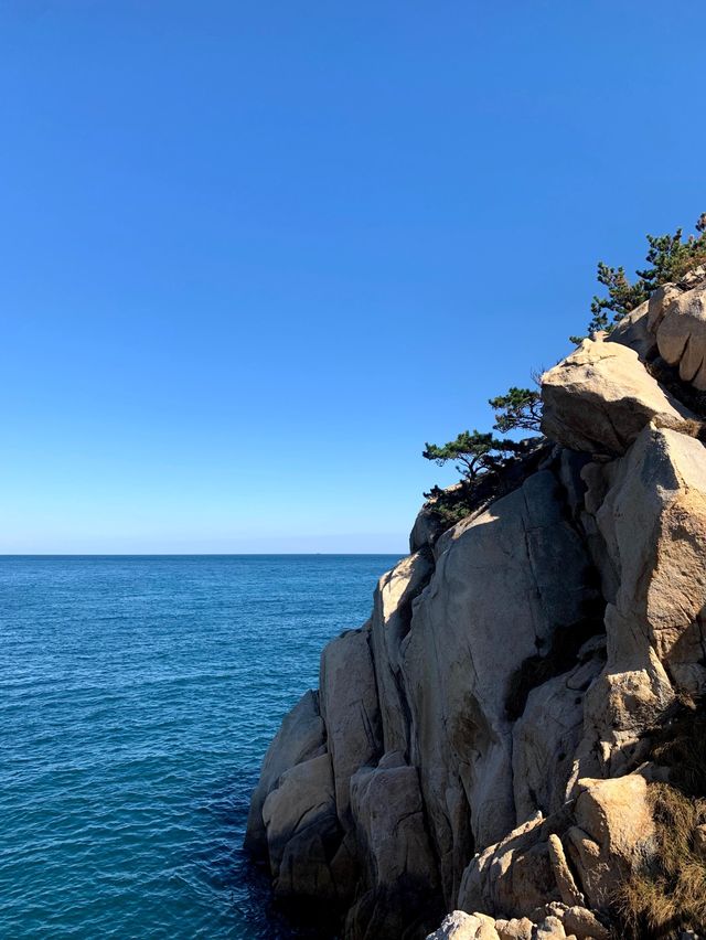 깨끗한 바다를 볼 수 있는 울산 대왕암공원 🪨