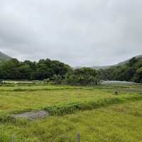 大自然奇觀，巨型摺曲洗衫板岩層