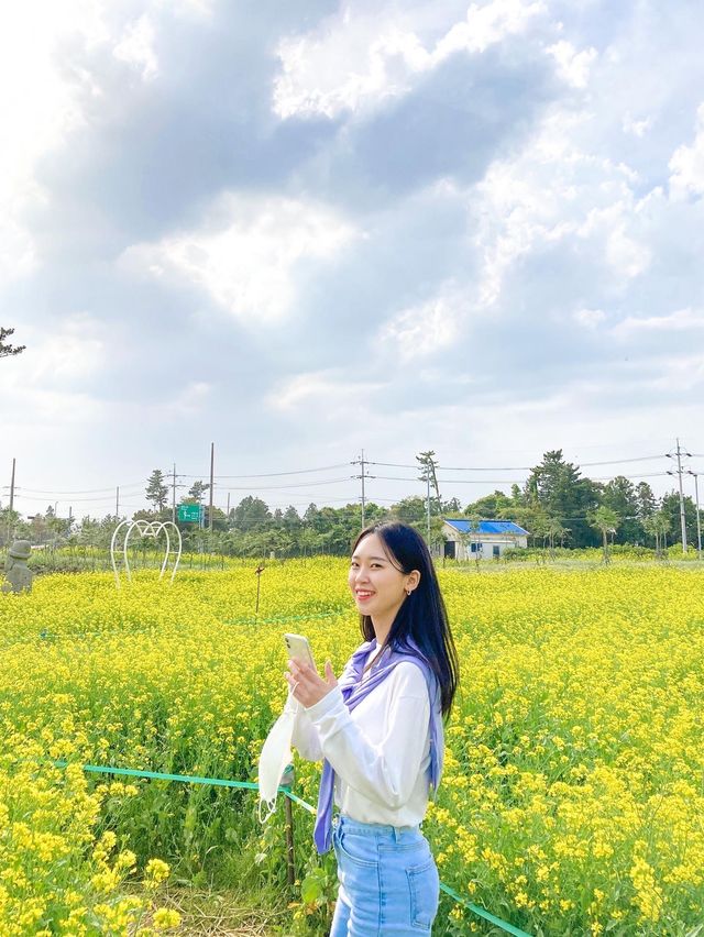 짱구네 유채꽃밭::천원으로 즐기는 조용한 유채꽃밭