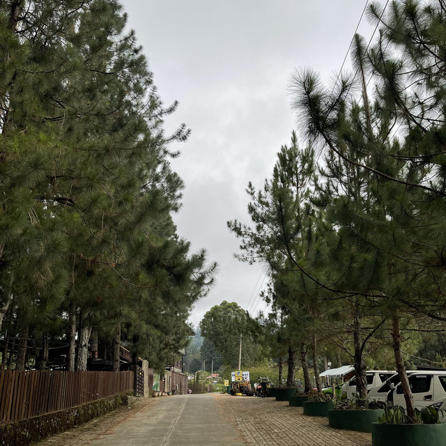 Dahilayan Forest Park Resort 🍃