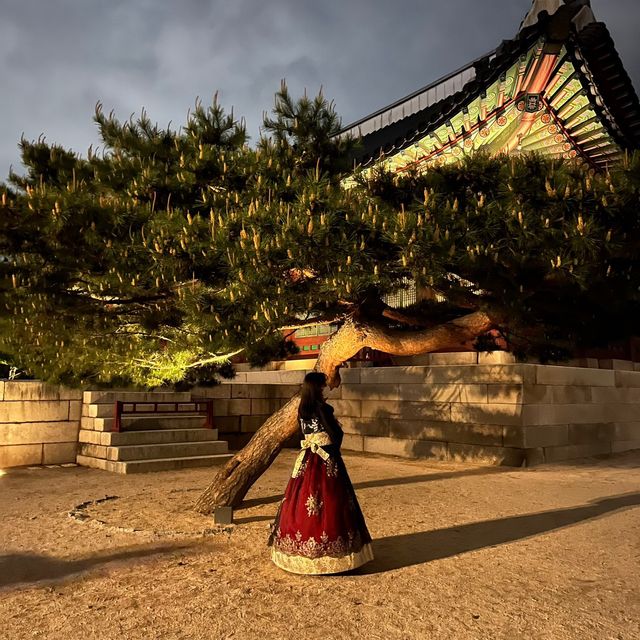 야간개장