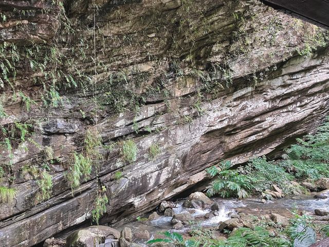 基隆特色峽谷步道~暖東峽谷 親近大自然與水流 