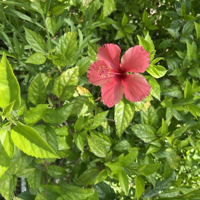 以航海為主題的公園