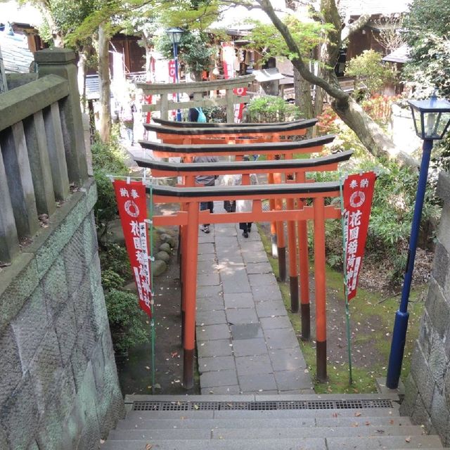 迷你版千本鳥居⛩️