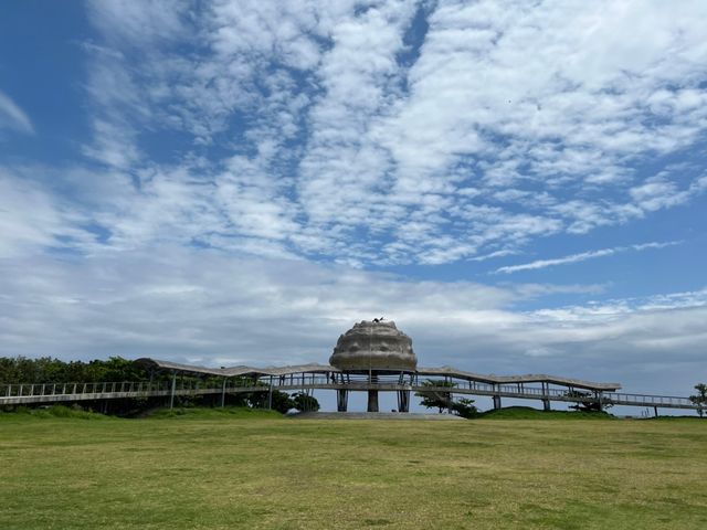 超美必打卡的台東河濱公園 絕對要來打卡朝聖