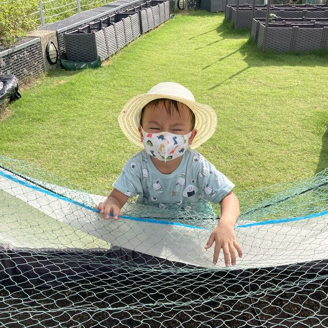 親子活動～「親子農耕樂」🥬🥕🌶