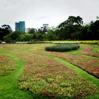 Pinic at Chatuchak park 