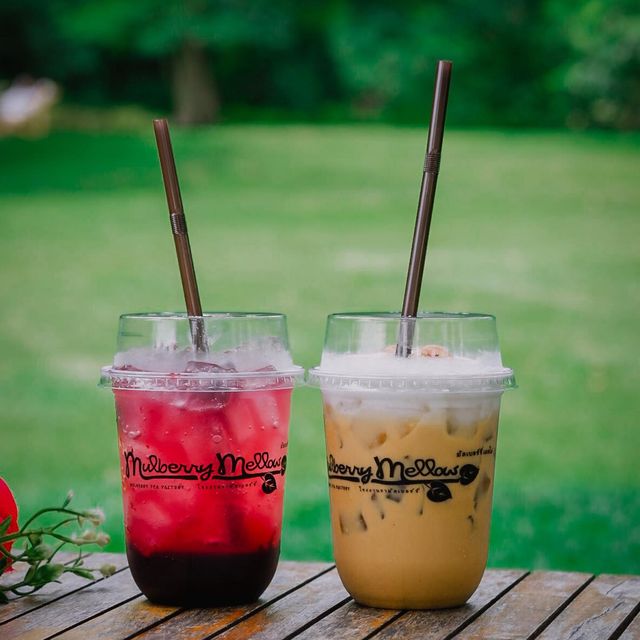 คาเฟ่ที่มีวิวสวนสวยๆ สีเขียวๆสลายตาสุดๆ