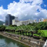 親子性價比酒店 ~ Alva Hotel 