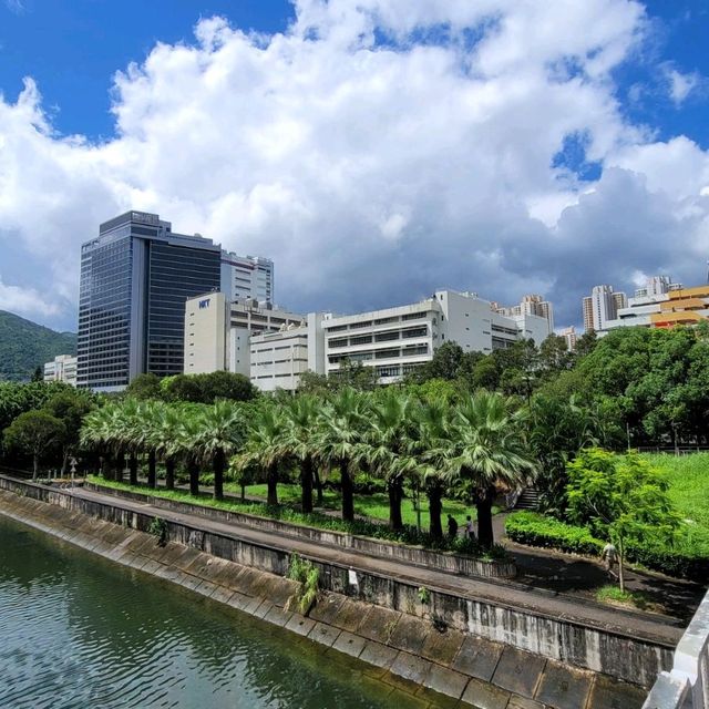 親子性價比酒店 ~ Alva Hotel 