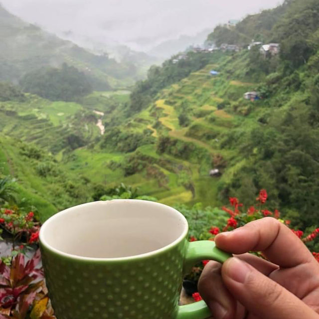Banaue Rice Terraces 