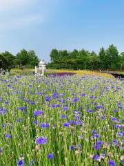 Ilsan Hub Astronomical Park