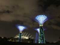 Night at Gardens By the Bay
