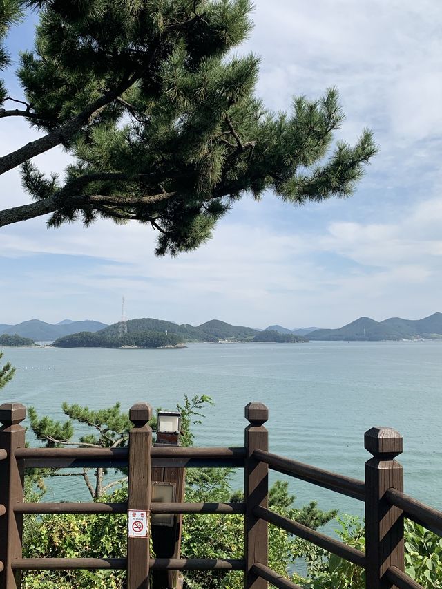 통영여행 ☕️ 사이폰커피를 파는 카페 이타라운지 그리고 이순신공원🌿