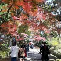 京都の紅葉スポット「毘沙門堂」