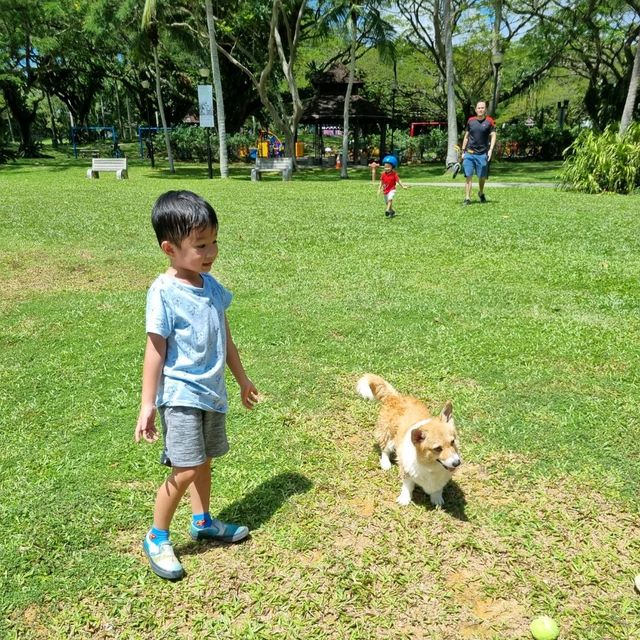 Charming Pasir Ris Park