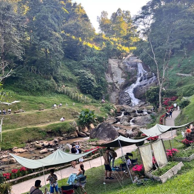 WTF coffee camp 🍃☕️