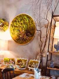 greenery-filled cafe♨️KNOTS♨️