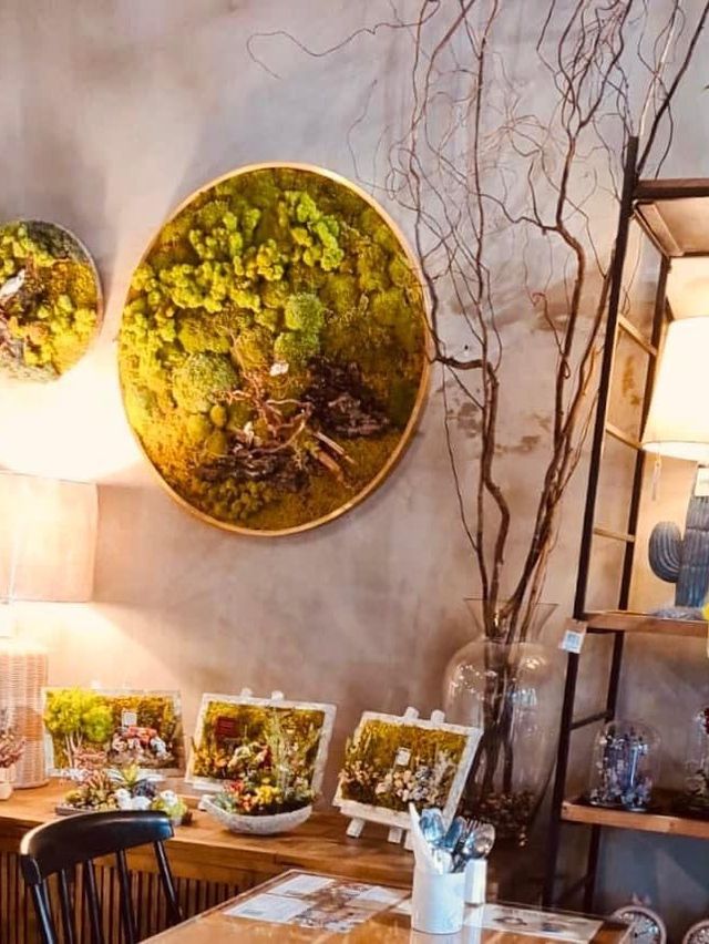 greenery-filled cafe♨️KNOTS♨️