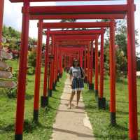 Red is the color