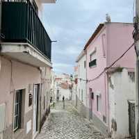 Nazare (The biggest waves of the world)