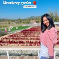 สวน 80 ที่ไม่ใช่แปลว่า 80 บาท 🍓🍓