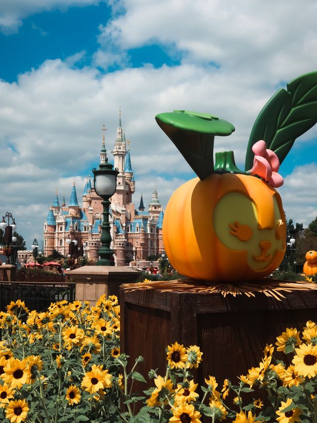 Halloween Arrives at Shanghai Disneyland🎃