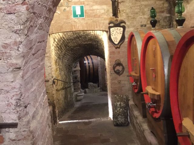 Underground winery’s in Montepulciano 🍷 