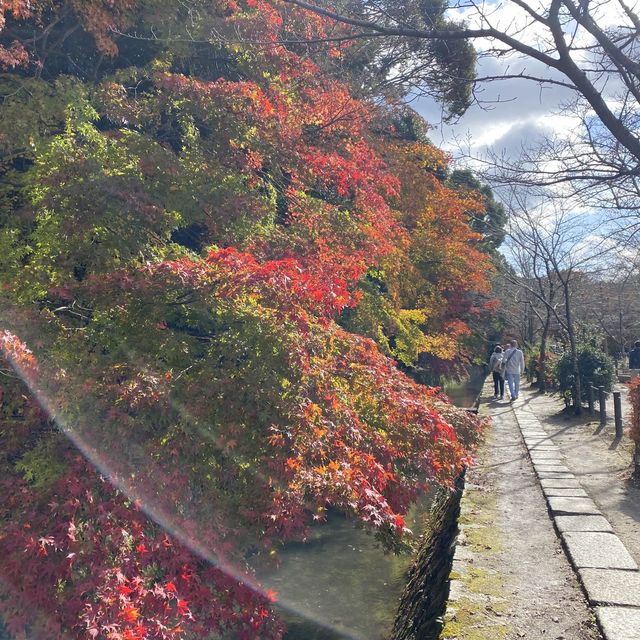 從銀閣寺往永觀堂 - 踏哲學之道看秋楓