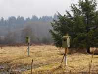 本拿比 Deer Lake