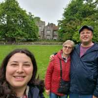 200 year-old plane tree in Canterbury
