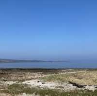 Fairlie beach