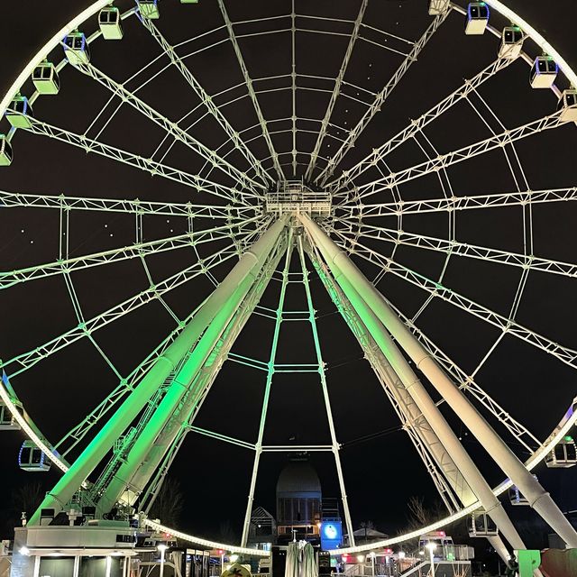 You must take La Grande Roue de Montreal