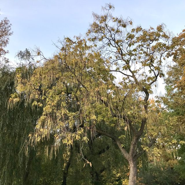 The people’s park of Friedrichshain