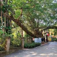 Going back in time- Gulangyu Island