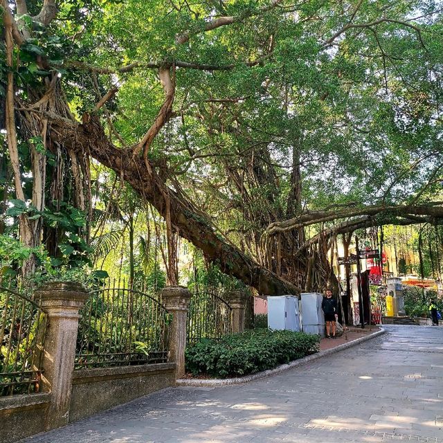 Going back in time- Gulangyu Island