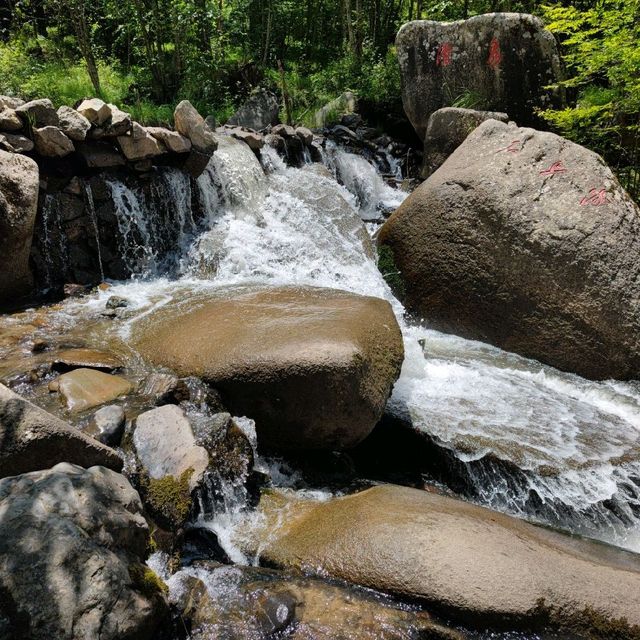 Yeliguan Forest Park