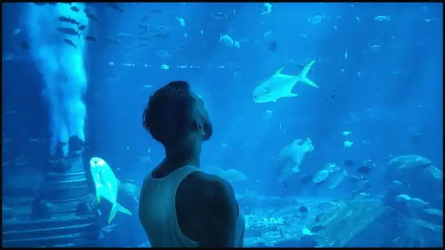 Amazing aquarium in Atlantis - Sanya 🇨🇳 